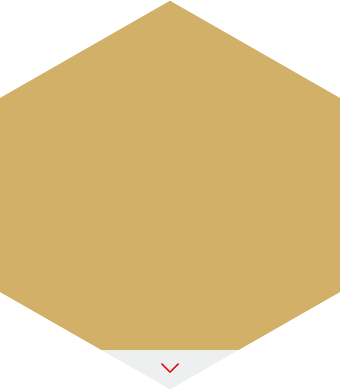Designers